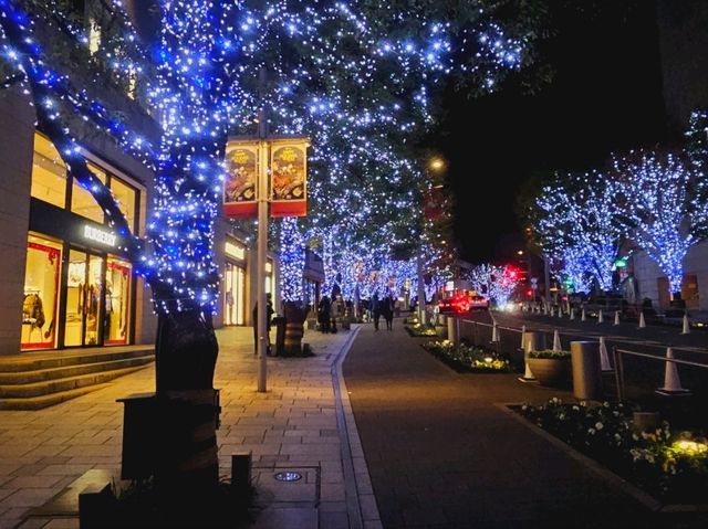 The magical illumination at Ropponggi Hills at Keyakizaka