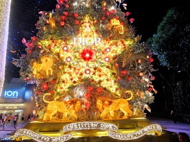 The Christmas Lights at uppee Orchard Road near ION Orchard 