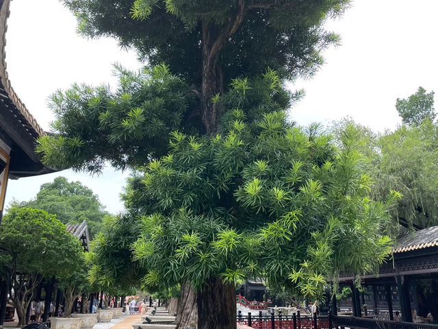 廣州寶墨園：一場穿越時空的嶺南園林之旅