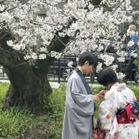 京都櫻花之旅 - 蹴上傾斜鐵道