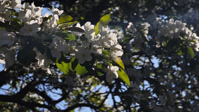 泸沽湖邊的簡約之美