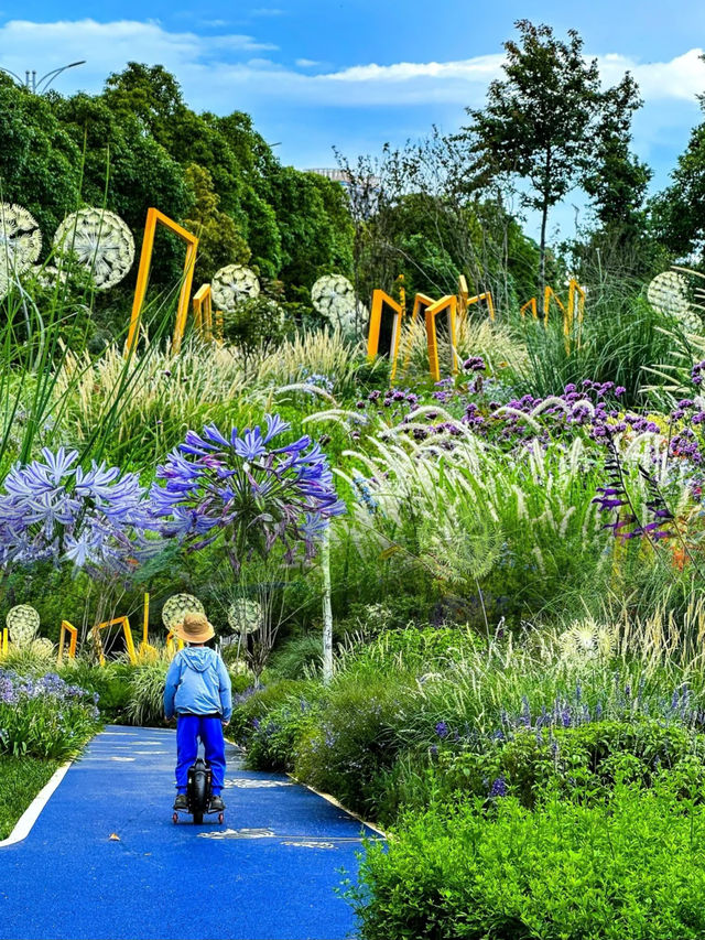 雲南省博物館小遊園，解鎖文化與自然的浪漫邂逅