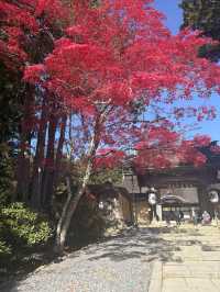 高野山——避開人流，和歌山縣的賞楓好地。