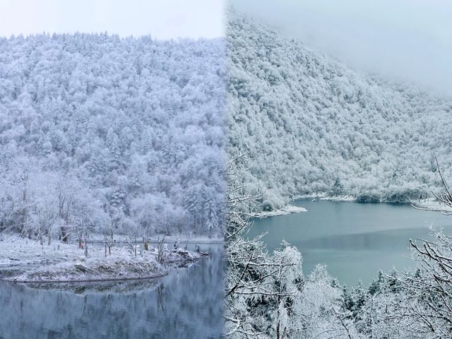 樂山峨邊杜鵑池徒步玩雪攻略