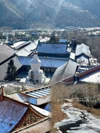 五台山一日朝聖：心靈的淨化之旅