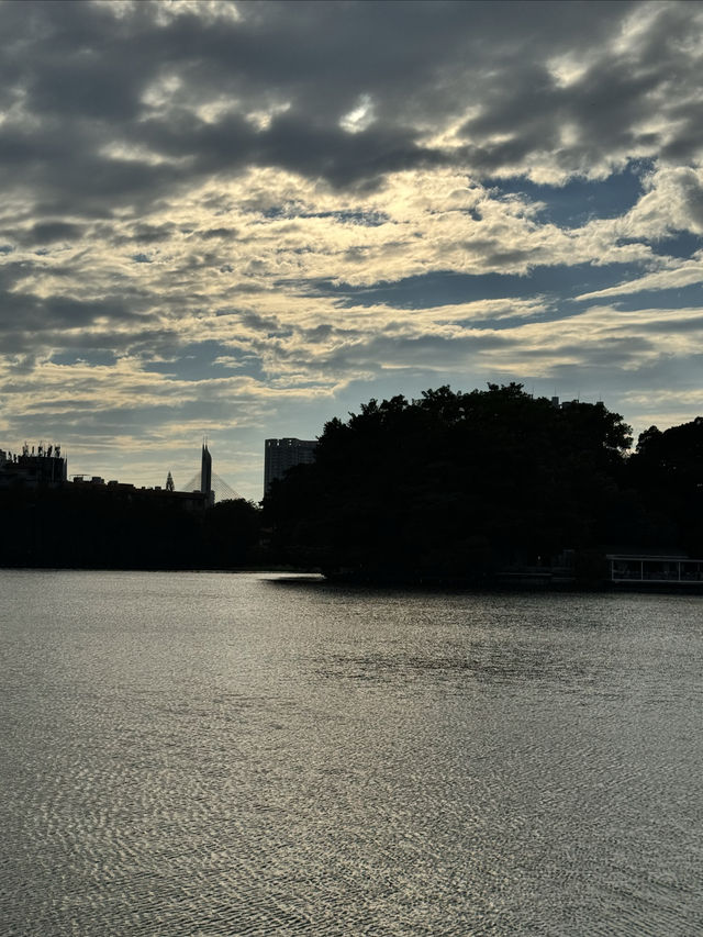 藏在城市裡的綠洲公園——東山湖公園