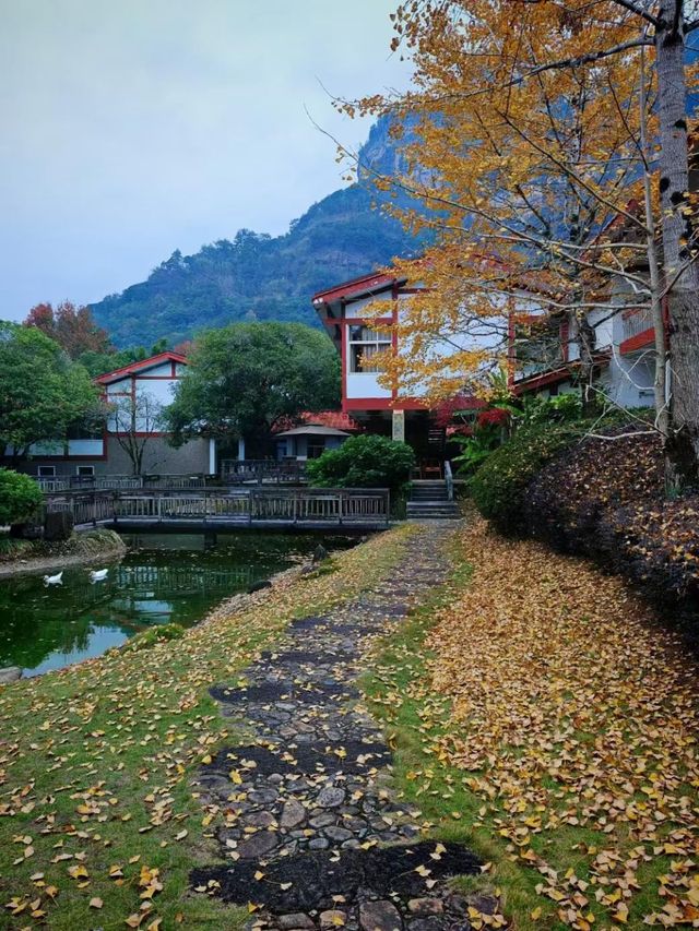 武夷山莊—不同尋常的冬日之美