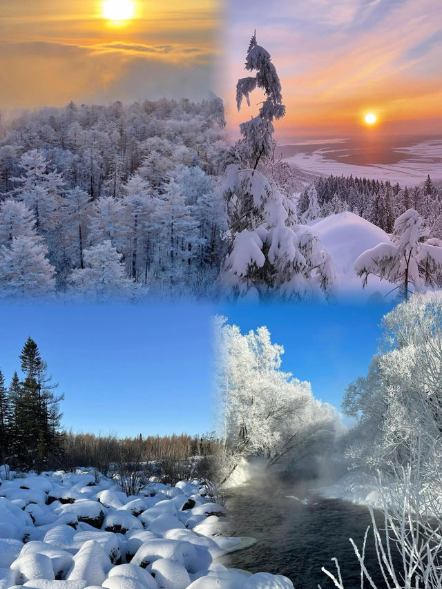 冰雪伊春🩵 |穿越雪嶺  這個冬天一定不要錯過伊春