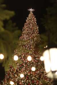 The Grove is a must-visit Christmas market in LA