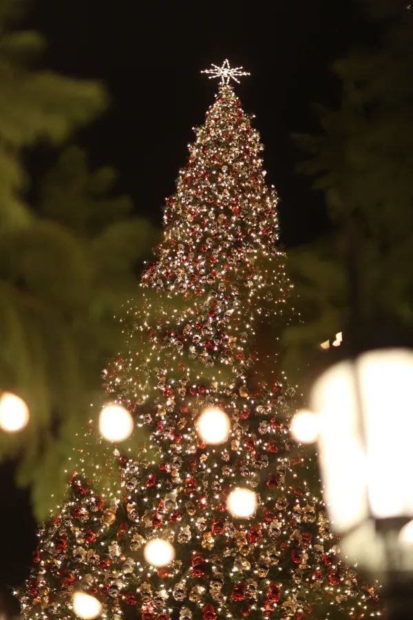 The Grove is a must-visit Christmas market in LA