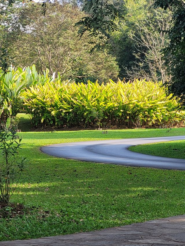 中科院熱帶植物園