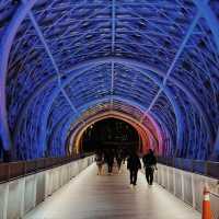 Saloma Bridge, Kuala Lumpur