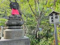 [草津湯畑♨️➕ 西之河原公園🏞️]