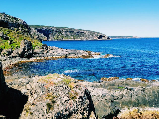 Fur Seal Lookout