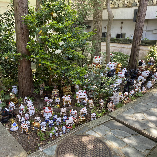 淡嶋神社 加太景點 和歌山推薦