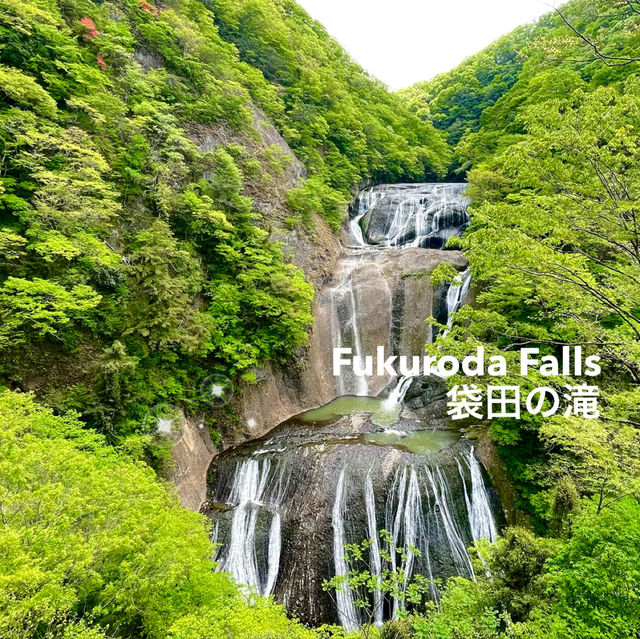 Fukuroda Falls: A Summer Escape in Ibaraki🍃