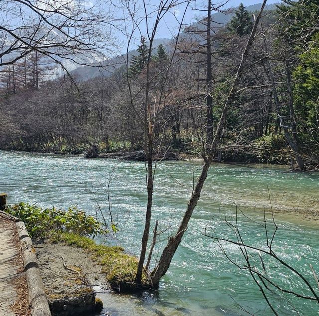 上高地健行，田代橋美景探訪。