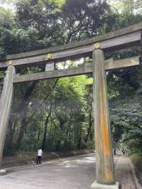 Serenity in the Heart of Tokyo: A Walk through Meiji Jingu