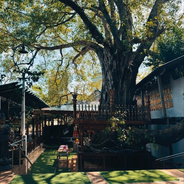 @ GANGARAMAYA TEMPLE.