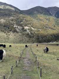 A Soul-Healing Journey to Wudi Lake (Bottomless Lake)Shangri-La