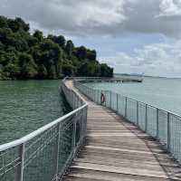 Wholesome fun at Pulau Ubin 