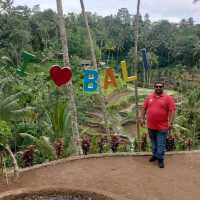 UBUD Rice Terrace - A must Visit 