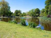 The biggest public park Vondelpark 🌴