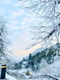 廬山雪景|這個冬天我們一起相約廬山看雪景