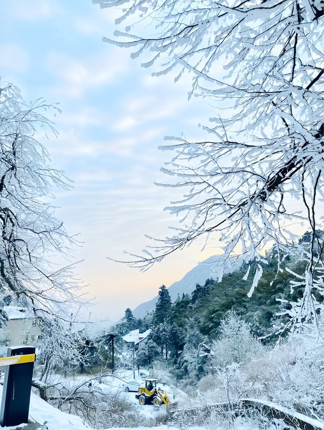 廬山雪景|這個冬天我們一起相約廬山看雪景