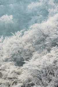 杭州初雪市區一小時可達的鸬鳥山賞雪攻略