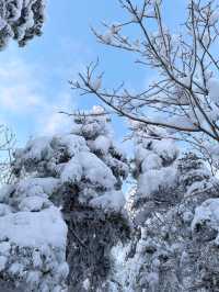 這裡不是挪威芬蘭！這裡是東北雪谷霧凇嶺！！！