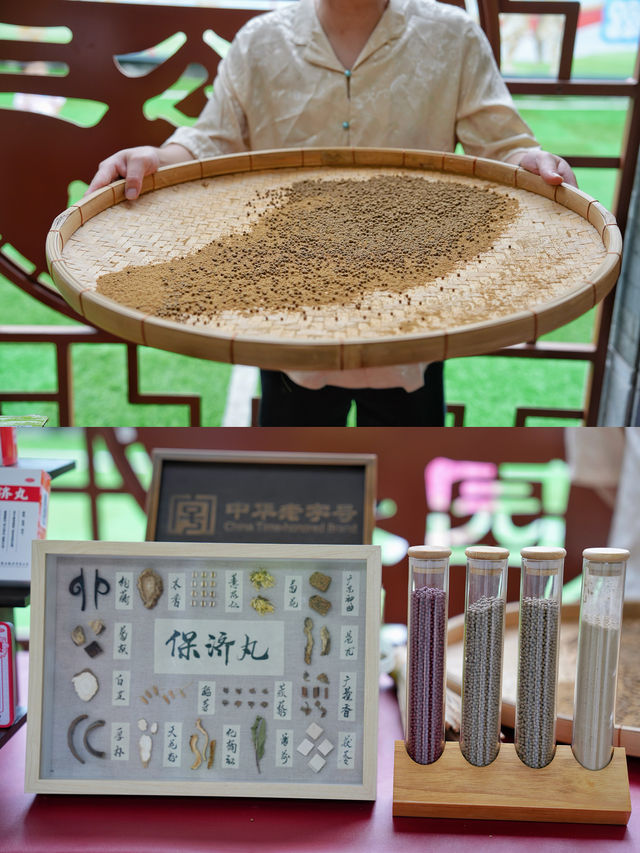 不是江南勝江南｜白雲區小眾園林博物館