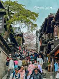 Kyoto: Best Cherry Blossom Photo Locations 🌸