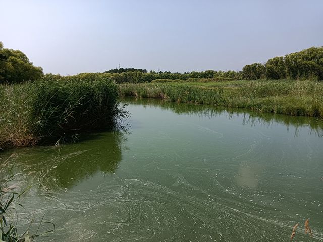 五大連池藥泉湖。