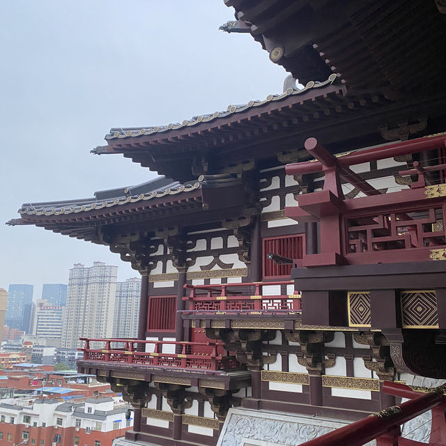 Yingtian Gate Relics of Luoyang Sui and Tang Dynasties🏮