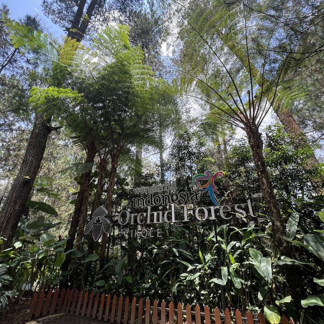 Orchid Forest in Bandung