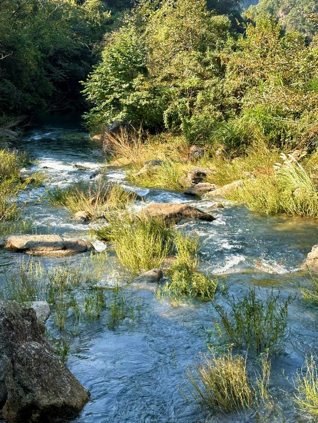 即將消失的行山路線——安山古道。