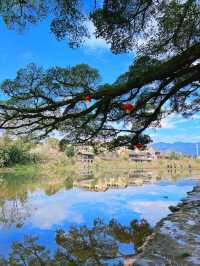 廈門-鼓浪嶼-福建土樓2日深度遊玩轉精華景點。