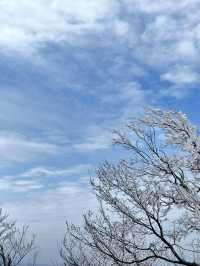 冬天的張家界2日遊 錯過可惜了