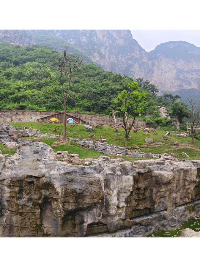 河南少林寺-開封親子遊超詳細攻略玩轉少林與古都