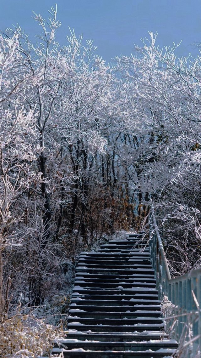 你是否想在安吉天池滑雪體驗不一樣的滑雪之旅？