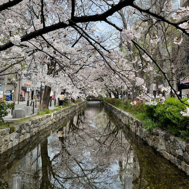 京都兩日遊：傳統文化與自然美景的深度體驗