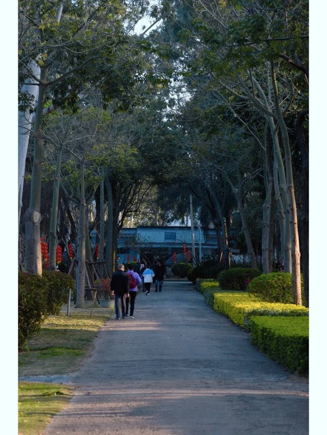 遛娃好去處｜忠倫公園散步的愜意時光！！