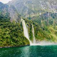 Milford Sounds