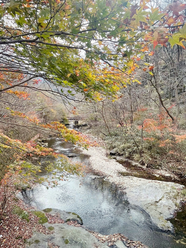 內藏山：韓國八大美景行山賞楓很減壓