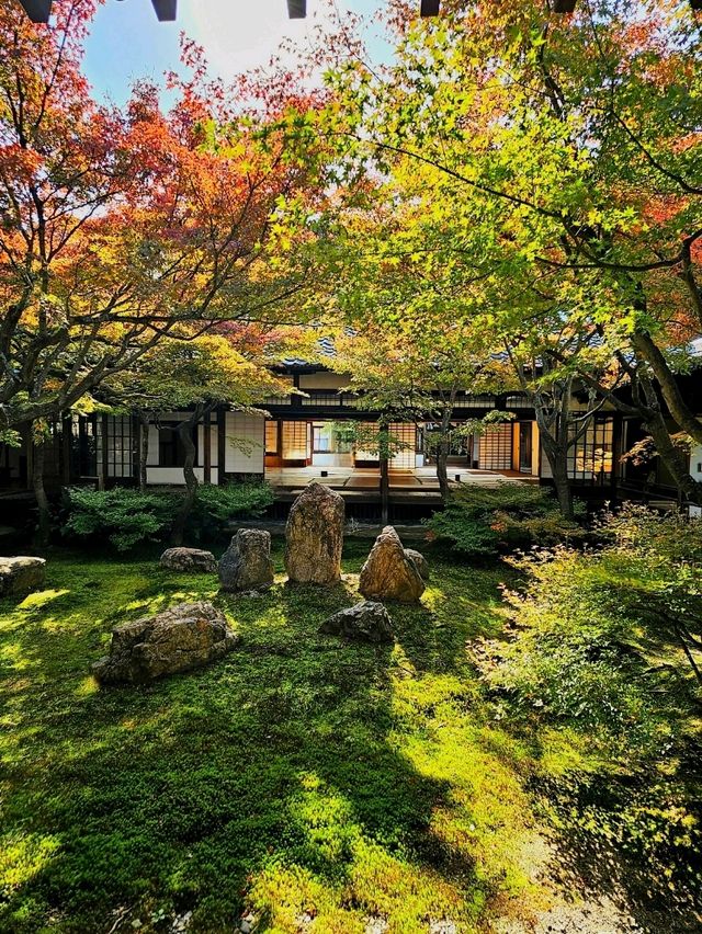 【京都/紅葉スポット】京都最古の禅寺で静かな時の流れを感じて