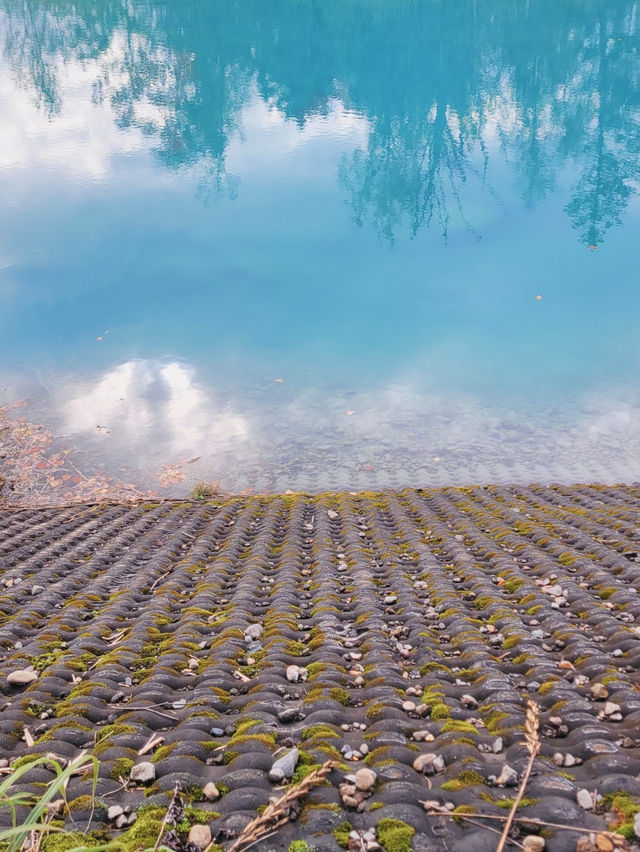 【幻想的な青の世界🏞️美瑛・青い池💙】 