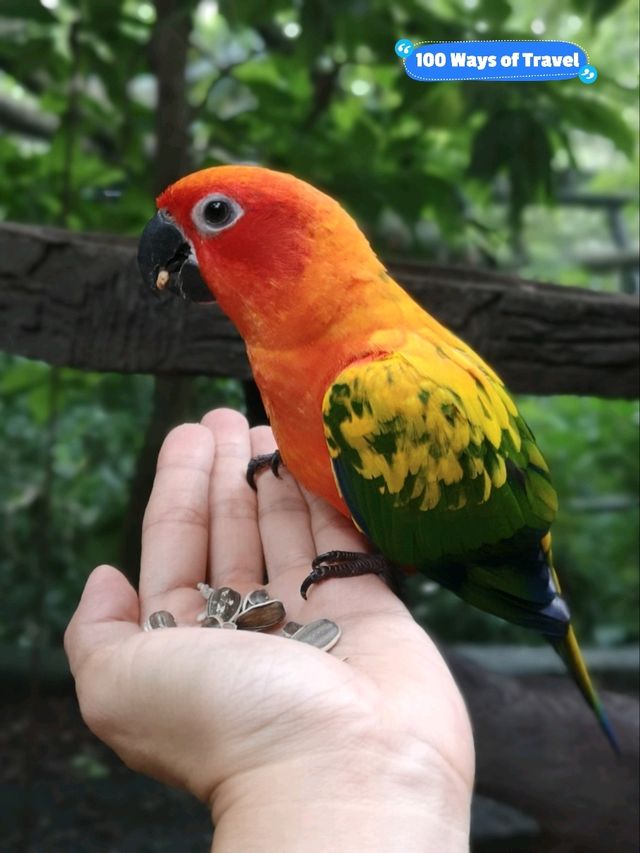 Sunway Lagoon Wildlife Park, Educational and Interactive Zoo 