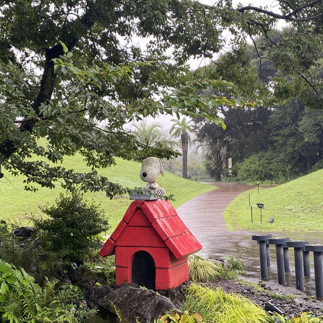 韓國濟州島 史努比庭園Snoopy Garden