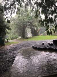 Magical Bogor Botanical Gardens